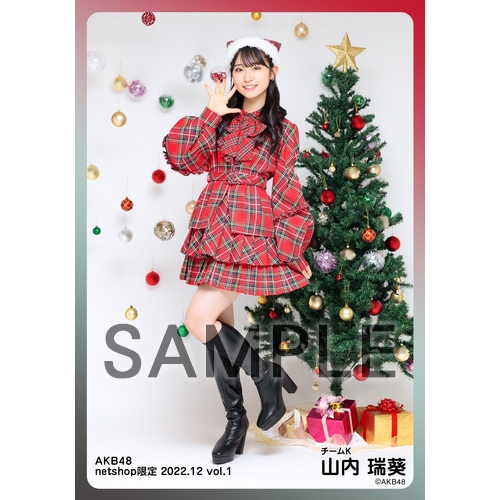 予約商品】AKB48 2022年12月度 net shop限定個別生写真5枚セットvol.1
