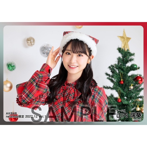 予約商品】AKB48 2022年12月度 net shop限定個別生写真5枚セットvol.1