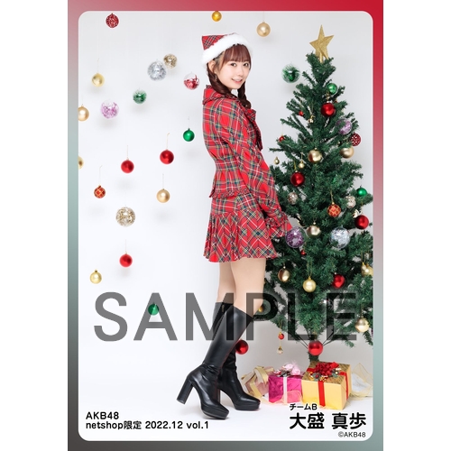 予約商品】AKB48 2022年12月度 net shop限定個別生写真5枚セットvol.1