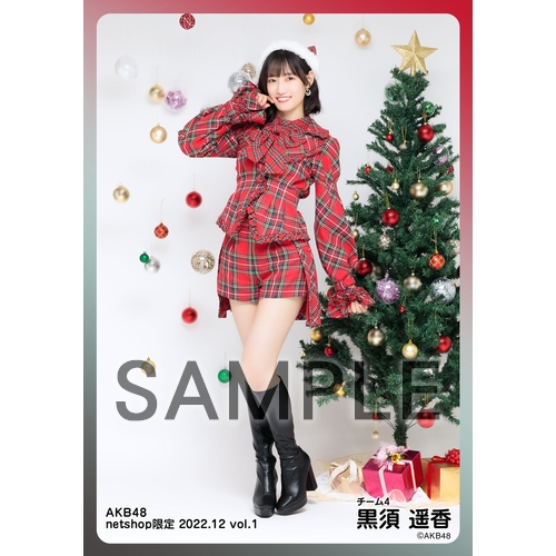 予約商品】AKB48 2022年12月度 net shop限定個別生写真5枚セットvol.1