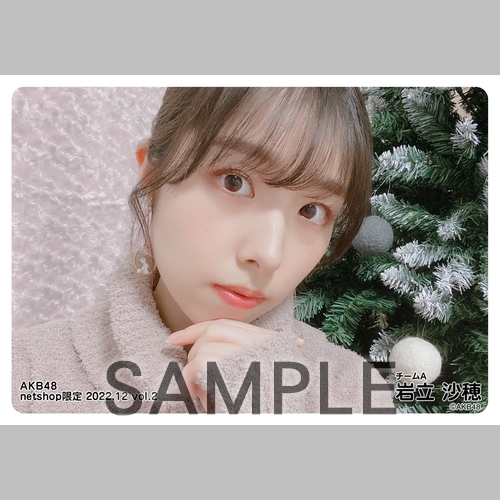 予約商品】AKB48 2022年12月度 net shop限定個別生写真5枚セット