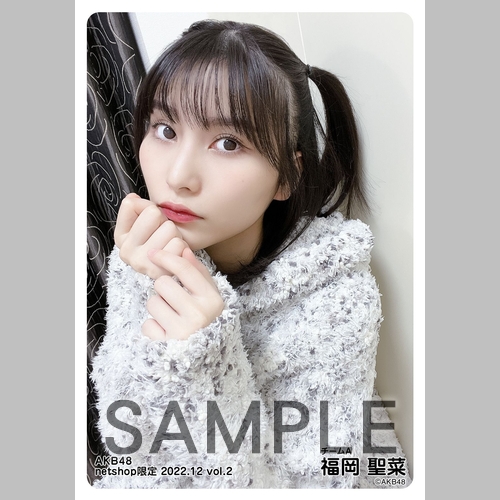 予約商品】AKB48 2022年12月度 net shop限定個別生写真5枚セットvol.2