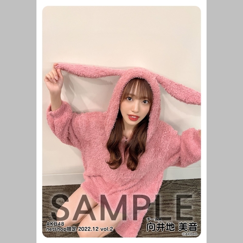 ❶ AKB48 向井地美音 2022 netshop限定 生写真 120枚 予約商品】AKB48 2022年12月度 net shop限定個別生写真5枚セット