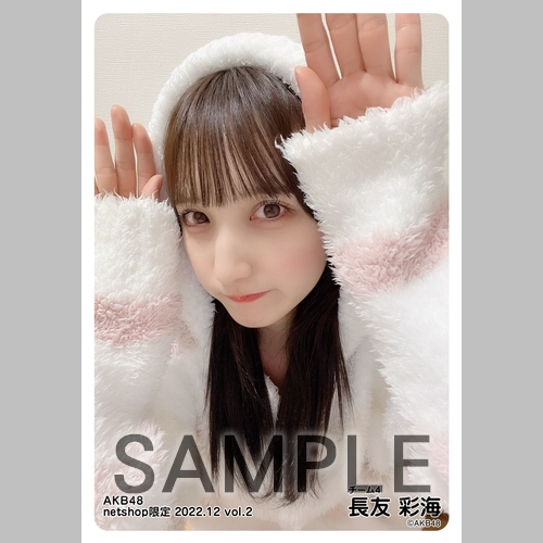 予約商品】AKB48 2022年12月度 net shop限定個別生写真5枚セットvol.2