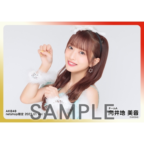 予約商品】AKB48 2023年1月度 net shop限定個別生写真5枚セットvol.1