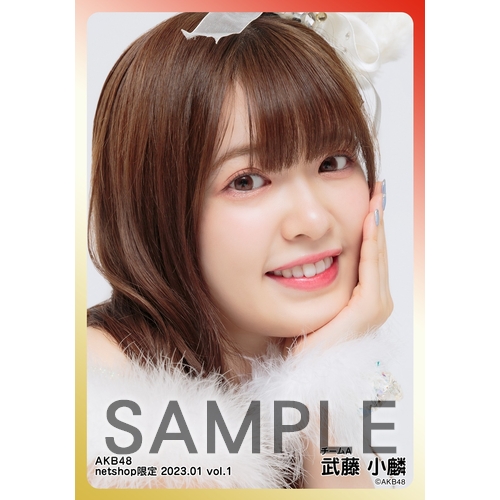 予約商品】AKB48 2023年1月度 net shop限定個別生写真5枚セットvol.1