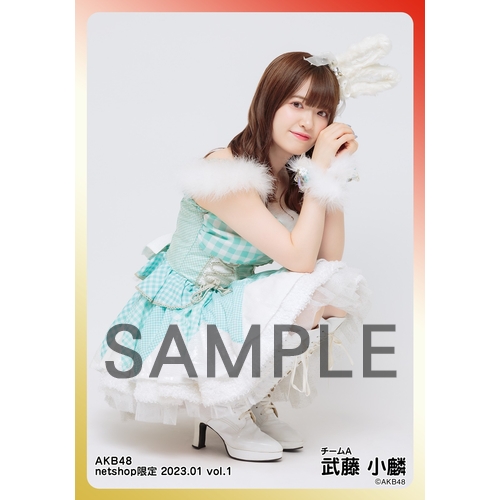 予約商品】AKB48 2023年1月度 net shop限定個別生写真5枚セットvol.1
