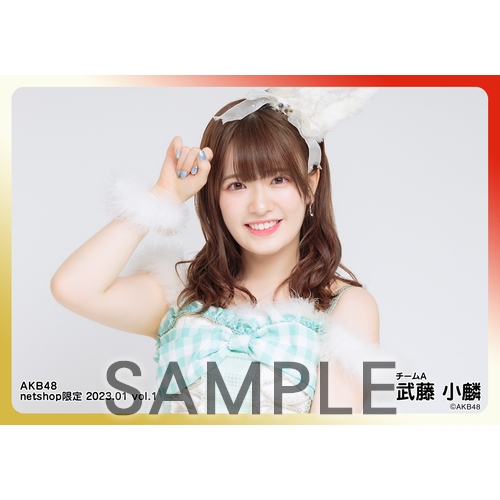 予約商品】AKB48 2023年1月度 net shop限定個別生写真5枚セットvol.1