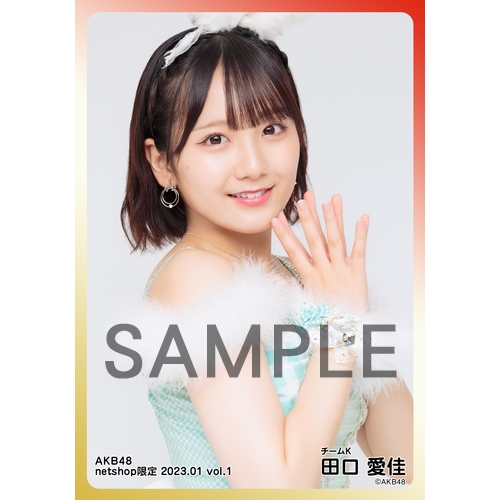 予約商品】AKB48 2023年1月度 net shop限定個別生写真5枚セットvol.1