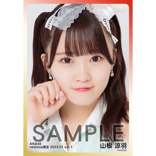 AKB48 2023年1月度 net shop限定個別生写真5枚セットvol.1