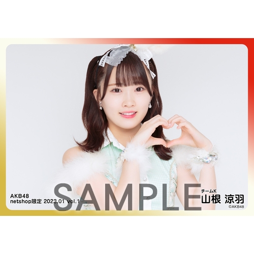 予約商品】AKB48 2023年1月度 net shop限定個別生写真5枚セットvol.1