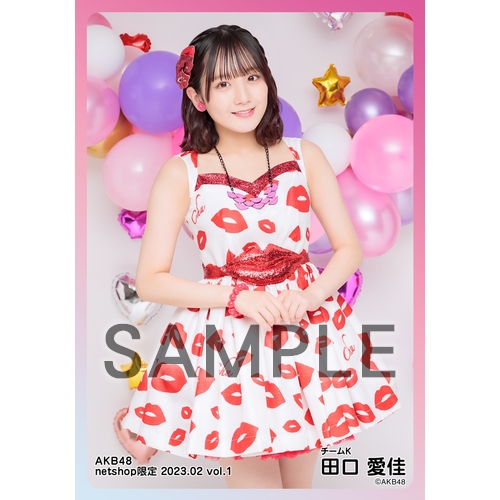 予約商品】AKB48 2023年2月度 net shop限定個別生写真5枚セットvol.1