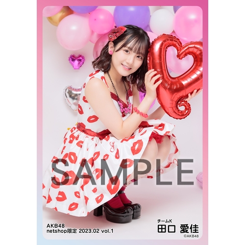 予約商品】AKB48 2023年2月度 net shop限定個別生写真5枚セットvol.1
