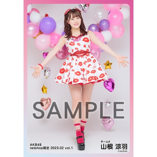 予約商品】AKB48 2023年2月度 net shop限定個別生写真5枚セットvol.1