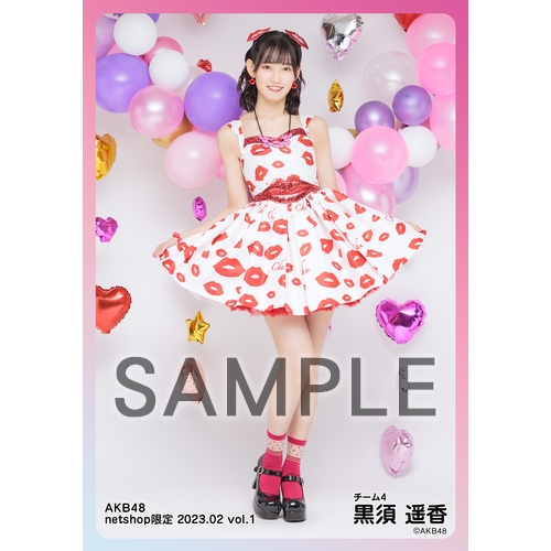 予約商品】AKB48 2023年2月度 net shop限定個別生写真5枚セットvol.1