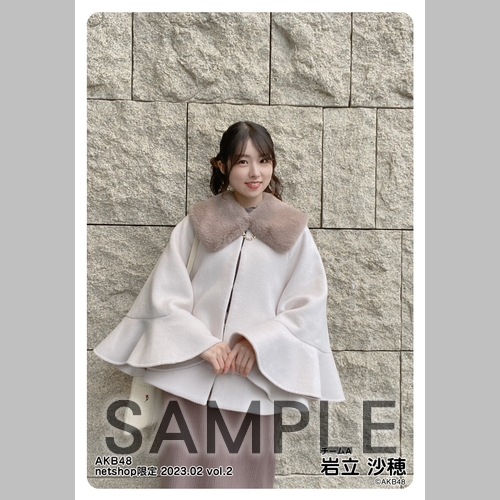 予約商品】AKB48 2023年2月度 net shop限定個別生写真5枚セットvol.2