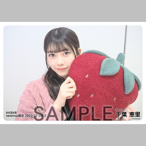 予約商品】AKB48 2023年2月度 net shop限定個別生写真5枚セットvol.2