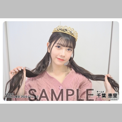 予約商品】AKB48 2023年2月度 net shop限定個別生写真5枚セットvol.2