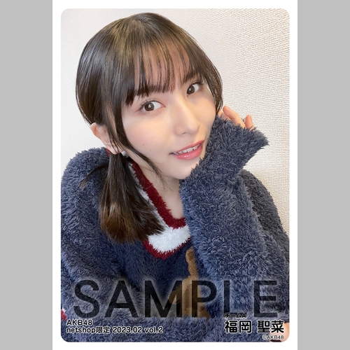 予約商品】AKB48 2023年2月度 net shop限定個別生写真5枚セットvol.2