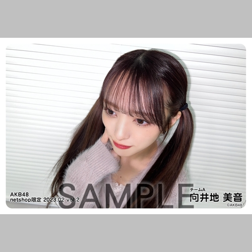 予約商品】AKB48 2023年2月度 net shop限定個別生写真5枚セット