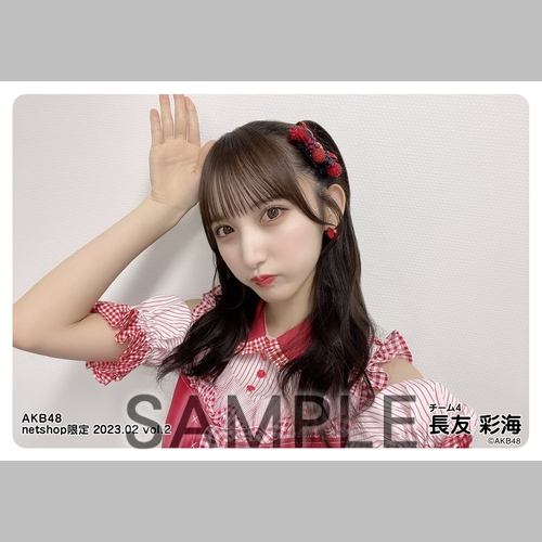 予約商品】AKB48 2023年2月度 net shop限定個別生写真5枚セット