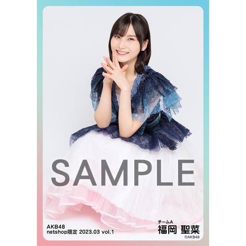 予約商品】AKB48 2023年3月度 net shop限定個別生写真5枚セットvol.1