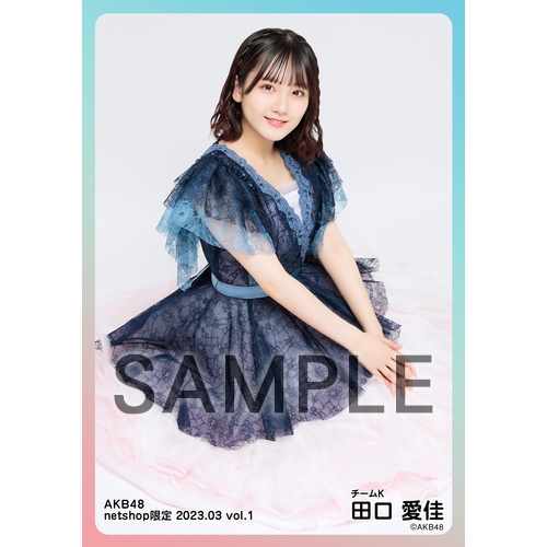 予約商品】AKB48 2023年3月度 net shop限定個別生写真5枚セットvol.1