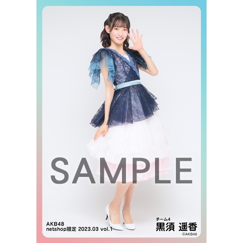 予約商品】AKB48 2023年3月度 net shop限定個別生写真5枚セットvol.1