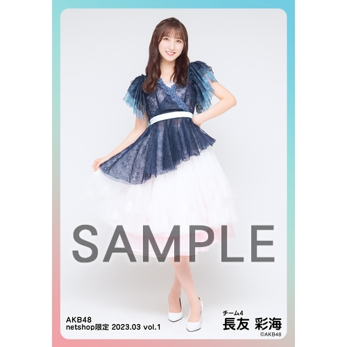 AKB48 生写真 セット 集合 ペア 店舗特典 会場特典等 約300枚 予約商品】AKB48 2023年2月度 net shop限定個別生写真5枚セット
