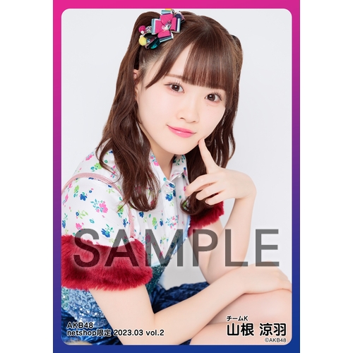 AKB48 2024年3月度 net shop限定個別生写真5枚セットvol.2