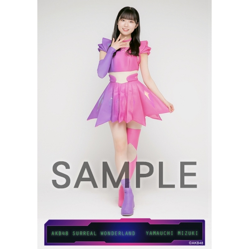予約商品】AKB48 61stシングル「どうしても君が好きだ」特別企画第2弾