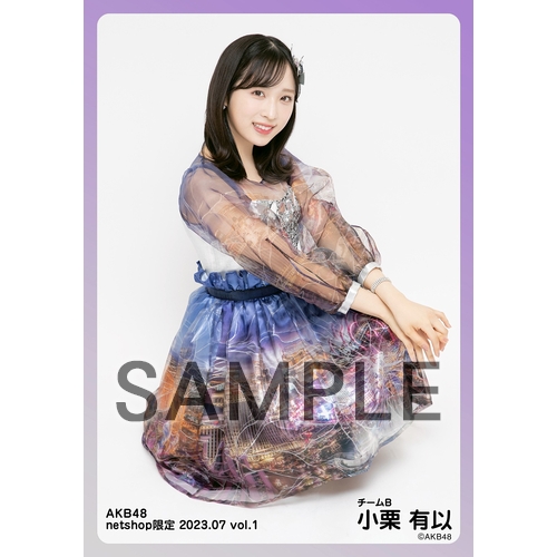 AKB48まとめ売りALL300～ 予約商品】AKB48 2023年7月度 net shop限定個別生写真5枚セット