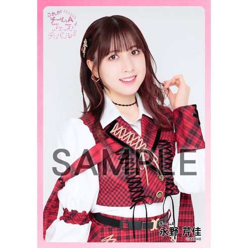 予約商品】AKB48 現チームファイナルコンサート2023 個別生写真5枚