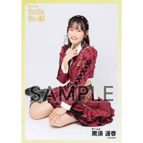 予約商品】AKB48 現チームファイナルコンサート2023 個別生写真5枚