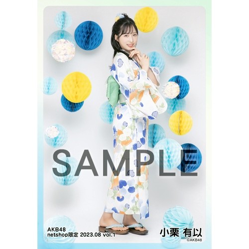 予約商品】AKB48 2023年8月度 net shop限定個別生写真5枚セット