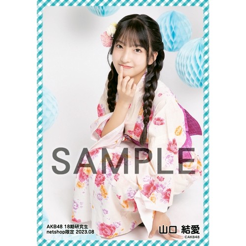 ❶ AKB48 グッズなど大量生写真 大量200枚以上重なり合いあります AK-003-2403-84424_p01_500.jpg