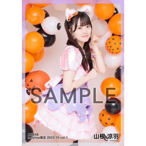 当選通知書付 AKB48 山根涼羽（ずんちゃん）直筆サイン チェキ（生写真） AKB山根涼羽／昇格逃した悔しさで成長 - 第10回AKB48選抜総