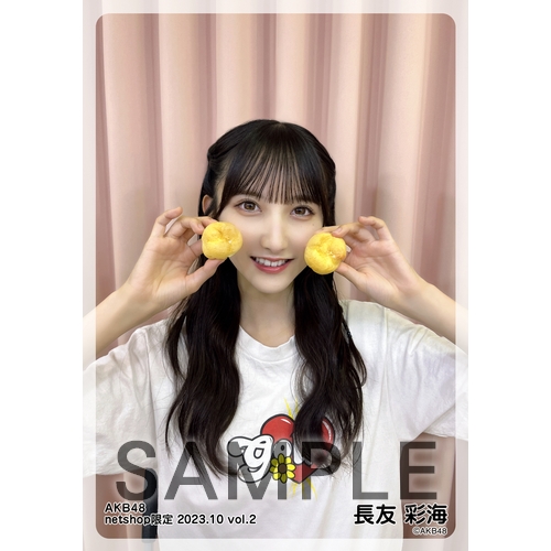 予約商品】AKB48 2023年10月度 net shop限定個別生写真5枚セットvol.2