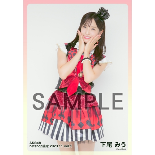 予約商品】AKB48 2023年11月度 net shop限定個別生写真5枚セット