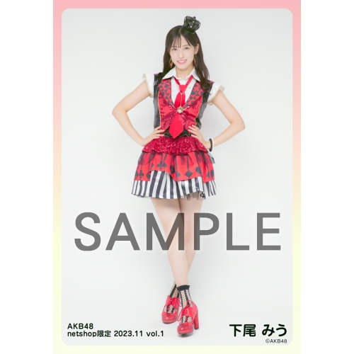 予約商品】AKB48 2023年11月度 net shop限定個別生写真5枚セット