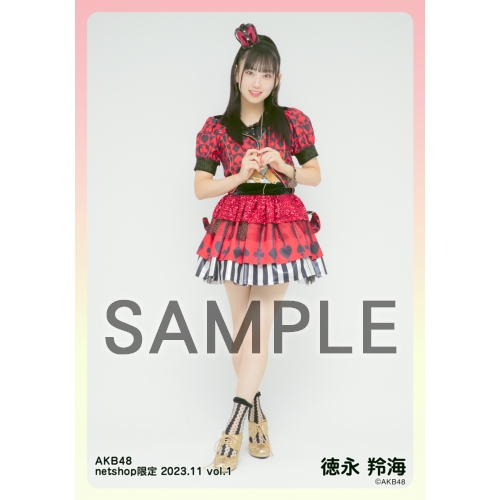 予約商品】AKB48 2023年11月度 net shop限定個別生写真5枚セットvol.1
