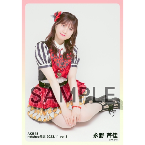 予約商品】AKB48 2023年11月度 net shop限定個別生写真5枚セット