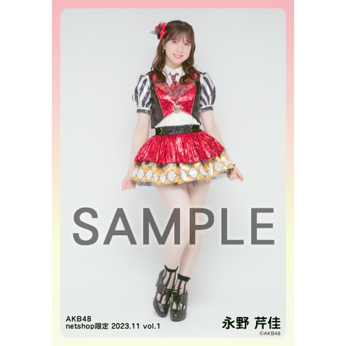 予約商品】AKB48 2023年11月度 net shop限定個別生写真5枚セットvol.1