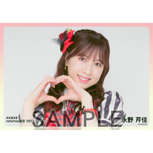 AKB48 生写真 セット 集合 ペア 店舗特典 会場特典等 約300枚 AKB48 2024年6月度 net shop限定個別生写真5枚セットvol.1