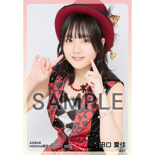 予約商品】AKB48 2023年11月度 net shop限定個別生写真5枚セット