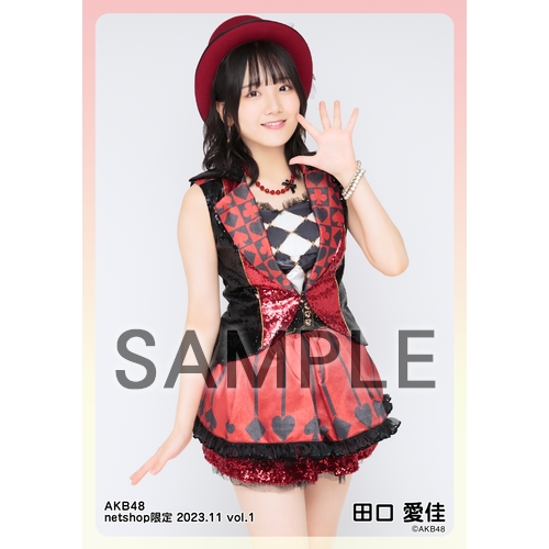 予約商品】AKB48 2023年11月度 net shop限定個別生写真5枚セット