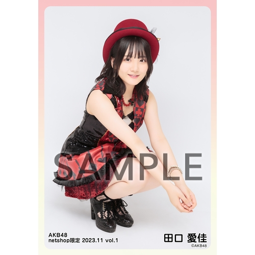 【まとめ売り】 AKB48 グッズ ANA コラボ いろいろ まとめ売り】 AKB48 グッズ ANA コラボ いろいろ その他 | AKB48