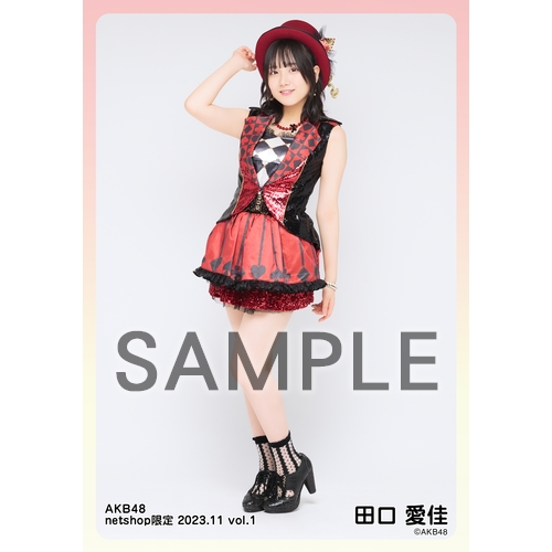 予約商品】AKB48 2023年11月度 net shop限定個別生写真5枚セット