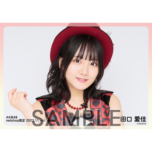AKB48グループ グッズ 大量まとめ売り 2025年最新】AKB48まとめ売りの人気アイテム - メルカリ