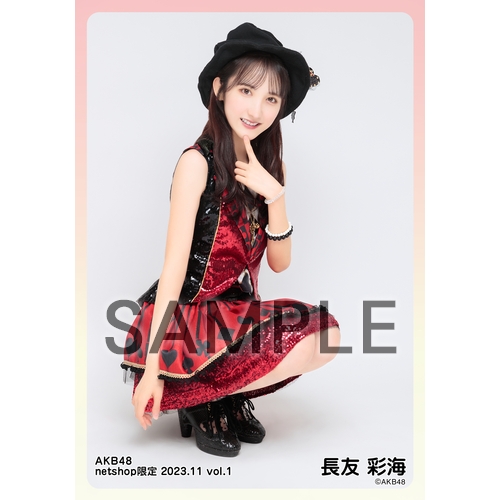 予約商品】AKB48 2023年11月度 net shop限定個別生写真5枚セットvol.1